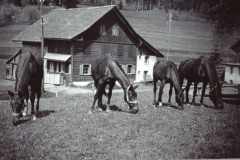 Haus Küng (abgebrochen 1942)