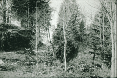 Burghügel Gryffenberg Ostseite