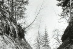 Burggraben Gryffenberg