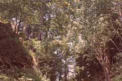 Burghügel Greifenberg