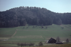 Burghügel Greifenberg - vom Engelstein