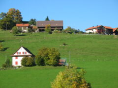 Scheune der Fam. Grob in Fehrenwaltsberg 2004 (vor dem Brand)