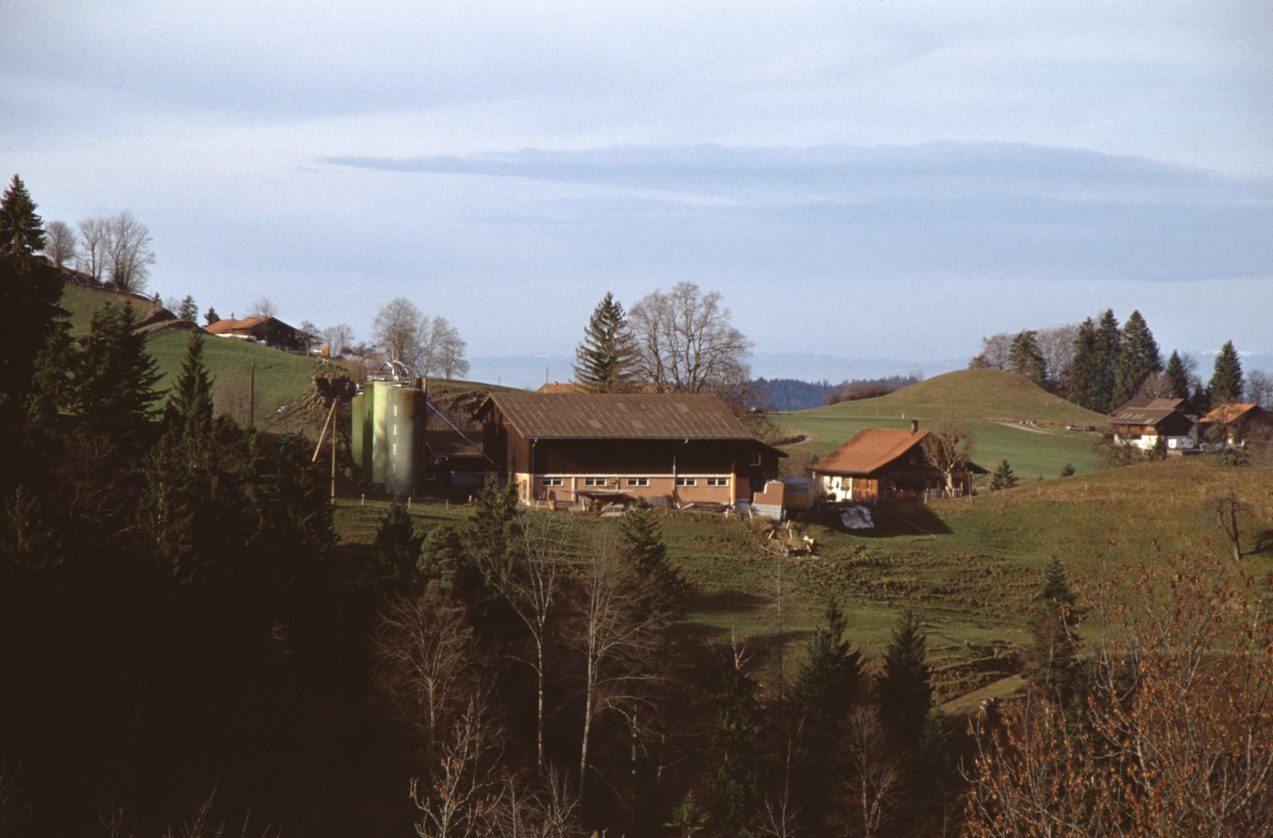 Altegg, aus Rtg Laupetswil. rechts der Burghügel im mittleren Wolfensberg