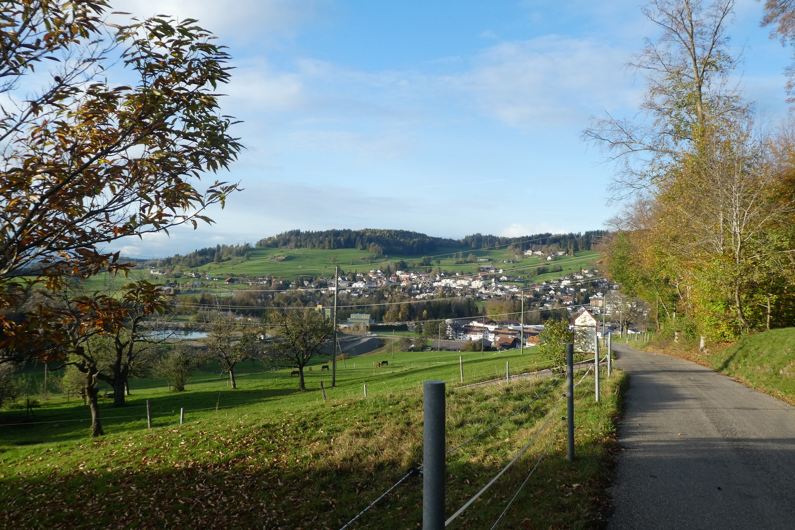 Hinterberg, Sicht auf Adetswil