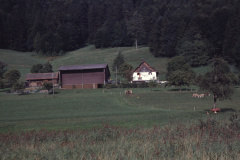 Laubenfelsen