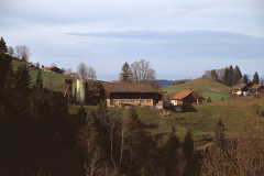Altegg, aus Rtg Laupetswil. rechts der Burghügel im mittleren Wolfensberg