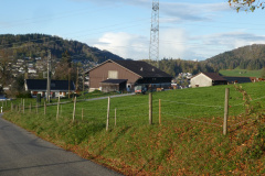 Steinweid