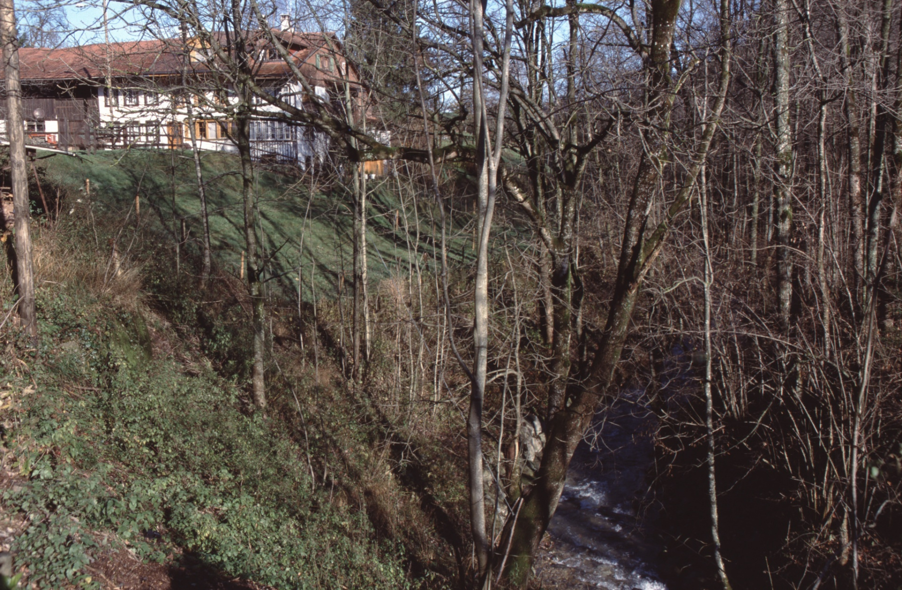 Hinterburg mit Wissenbach