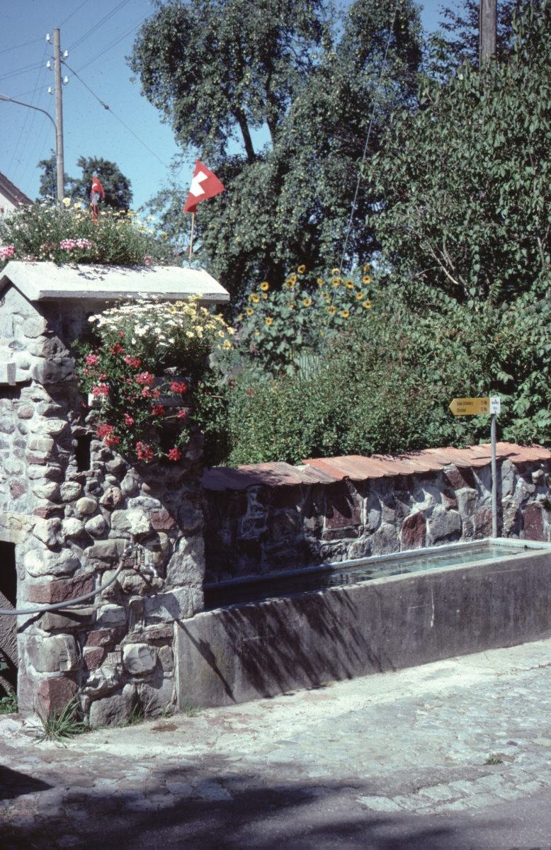 Brunnen in Hinterburg, erbaut durch Henri Spörri