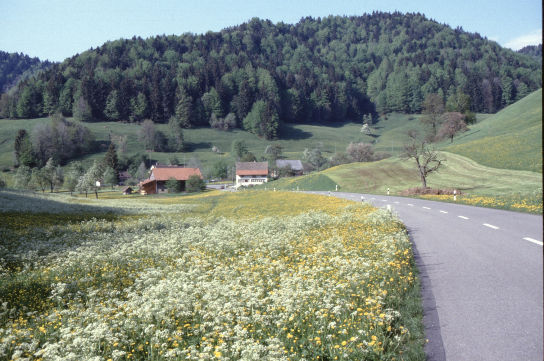 Matt, von Bettswil her kommend. Mitte: Haus Pfenninger, dahinter Verzweigung, rechts: zum Ghöch, links: zur Hinterburg