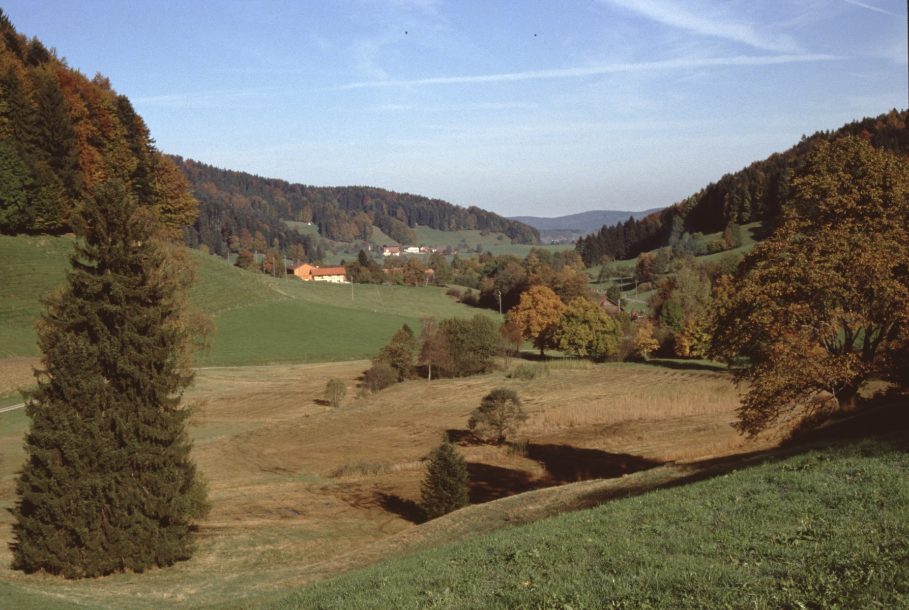 Blick von Rüetschwil Rtg Neuthal - Hof