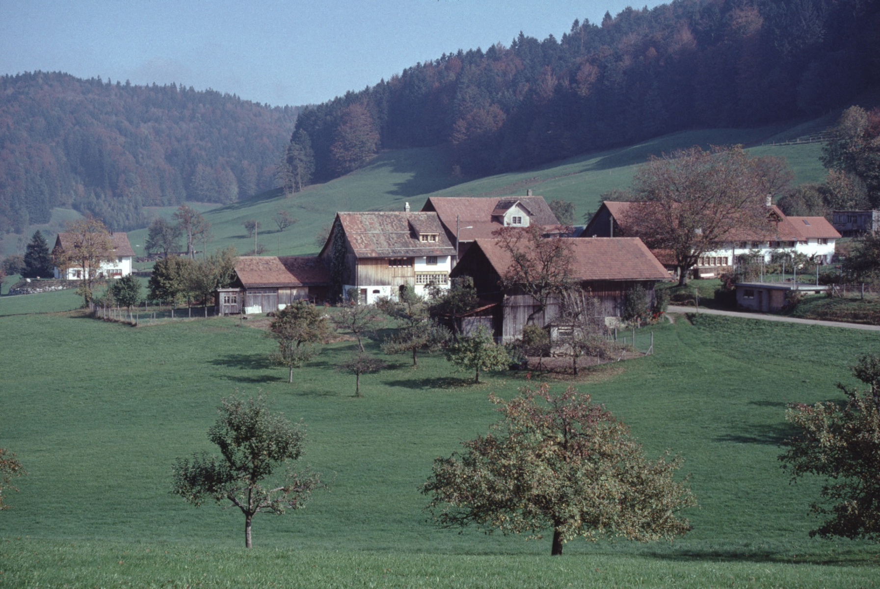 Rüetschwil (links ehem. Armenhaus (Unterwisen, geo))