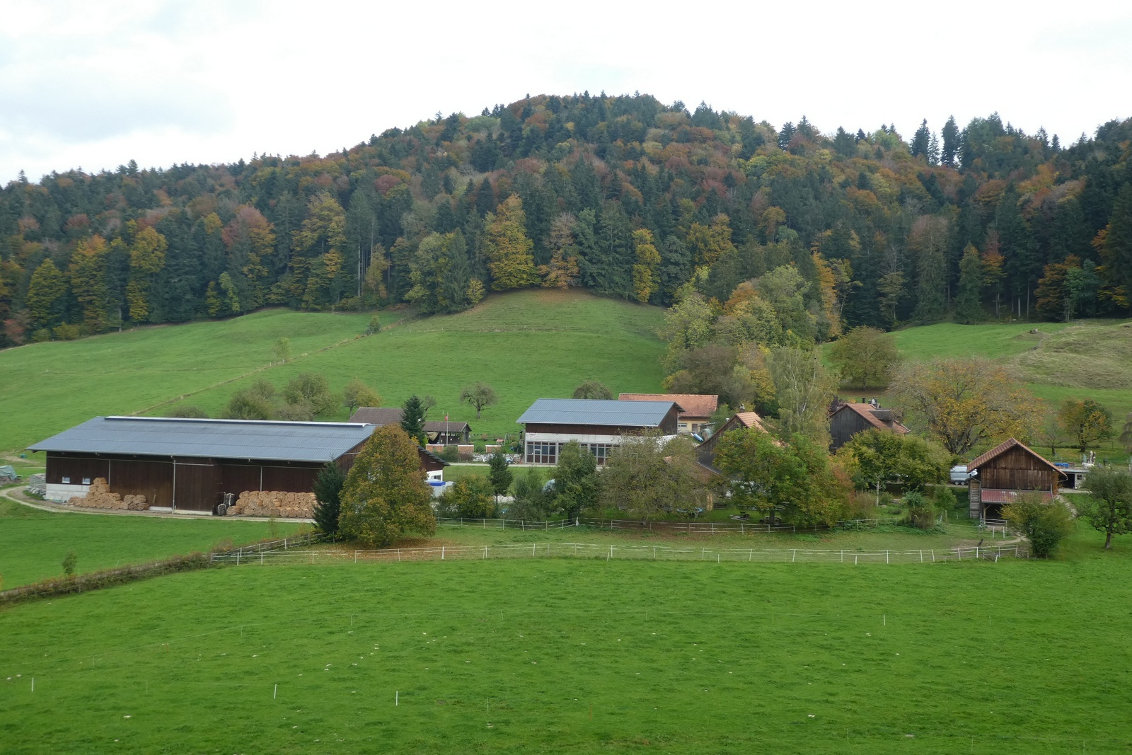 Blick vom Steigacher auf Rüetschwil