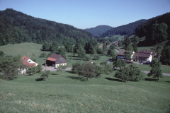 Matt (Wirzwil), rt Sunnemätteli