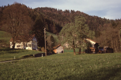 Rellsten - Liegenschaft Fritz Senn resp.Schoch
