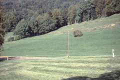 Hier stand die Siedlung ‚Schürli‘ Rüeggenthal