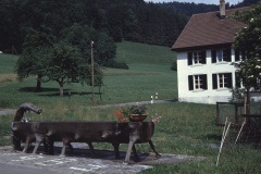 Schulhaus Tanne mit Holzbrunnen
