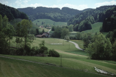 Blick talaufwärts (Waldrand oberhalb Tanne) Blick talaufwärts (Waldrand oberhalb Tanne)