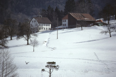 Obere Tanne im Winter Obere Tanne im Winter