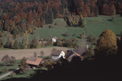 Blick von oben auf die «Obere Tanne» Blick von oben auf die «Obere Tanne»