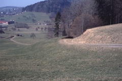 der alte Steigweg