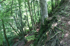 Greifenburg