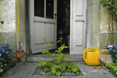 Druckerei Brunner, Eingang