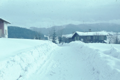 Engelsteinstr, vl Gerstl, Berry / Stutz