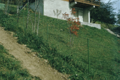 Ferienhaus Wunderli