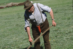 Fritz Walder beim Mähen