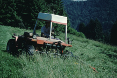 Berghof Heuet, Mähen, Ch. Honegger