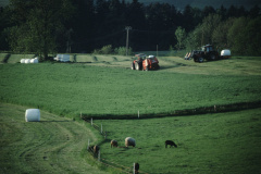 Heuet 1998, moderner «Heustock» in Plastik
