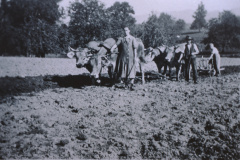 Landwirtschaft anno dazumal, Pflügen Landwirtschaft anno dazumal, Pflügen