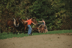 Max Gnehm jun. beim Säen mit Pferd und alter Sämaschine oberhalb Staatskiesgrube Max Gnehm jun. beim Säen mit Pferd und alter Sämaschine oberhalb Staatskiesgrube