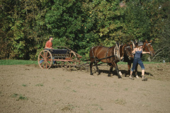 Max Gnehm jun. beim Säen mit Pferd und alter Maschine oberhalb Staatskiesgrube Max Gnehm jun. beim Säen mit Pferd und alter Maschine oberhalb Staatskiesgrube