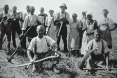 Bettswil. Hafer-Ernte. imVG mit Sensen: Ernst Fenner und Ernst Burri