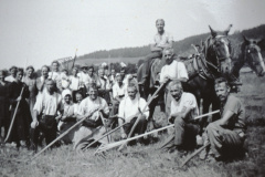 Bettswil. Hafer-Ernte, mit Walter Amacher, Ernst Fenner, Ernst Burri und Paul Walder