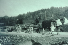 Altes Fuhrwerk