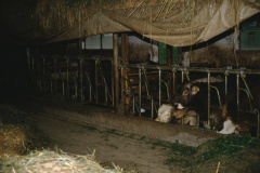 Bäretswil, Computer Stall Bohli Josenhof
