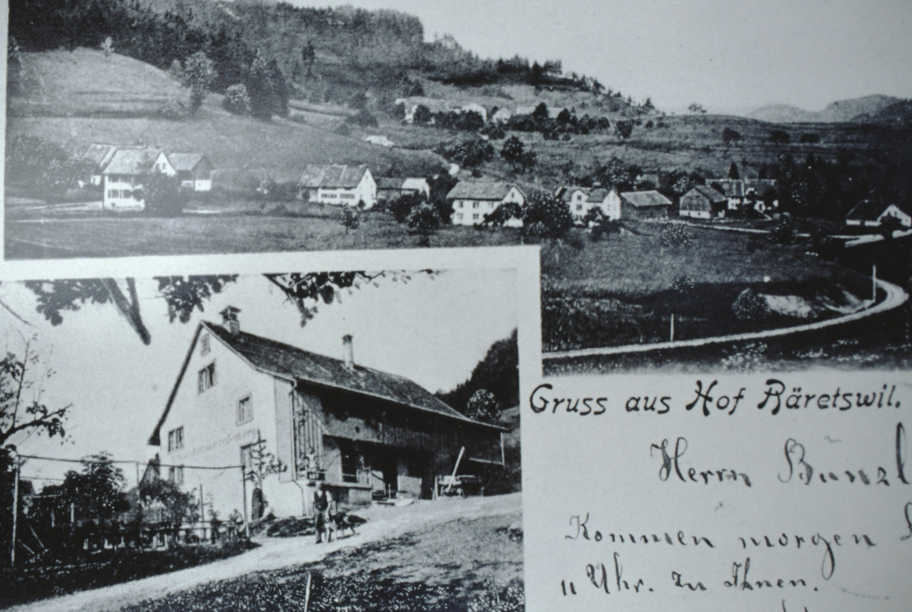 Postkarte Neuthal, Hof, Restaurant Greifenberg