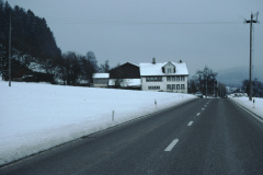 Hofschür, Baumastr im Winter