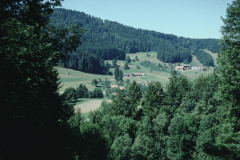 Hof mit Stoffel