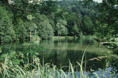 Farenbüelweiher