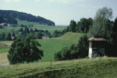 Regulierturm und Weiher-Damm