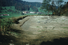 Farenbüelweiher, Leer für Reinigung