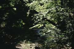 Wissenbach - Weg zum Giessen - AGZ Weg