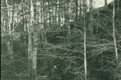 Guyer-Zeller-Wanderwege