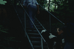 AGZ-Wanderweg Aufstieg zur Hohenegg