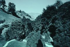 Guyer-Zeller, Parkanlage