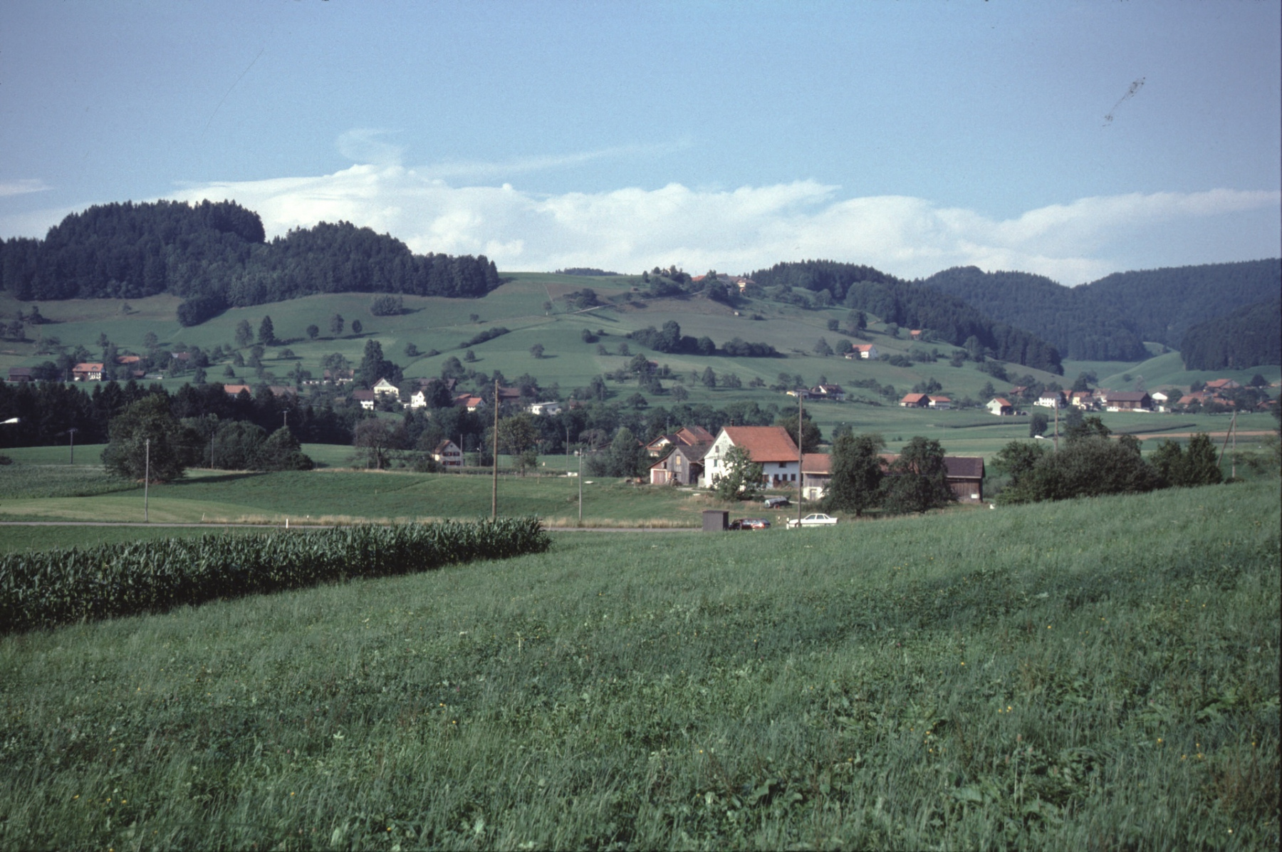 Eichschür, Vorder Bettswil - Bettswil, Allenberg